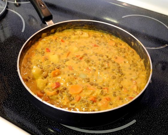 coconut korma with lentils and vegetables